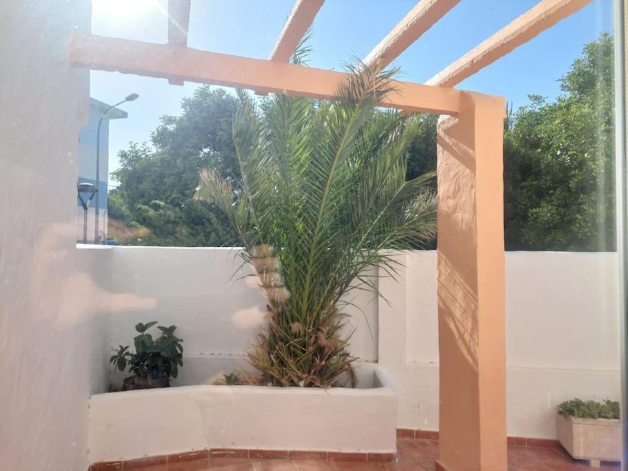 Appartement Piscina, Wifi, Patio Con Vistas à Tarifa Extérieur photo