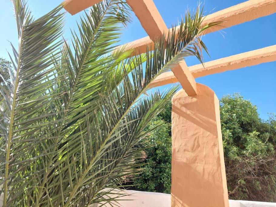 Appartement Piscina, Wifi, Patio Con Vistas à Tarifa Extérieur photo