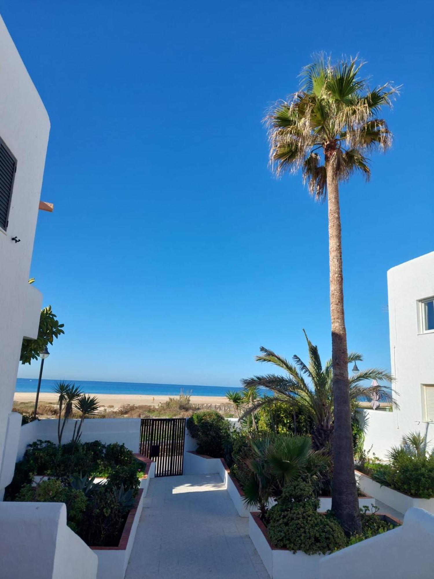 Appartement Piscina, Wifi, Patio Con Vistas à Tarifa Extérieur photo