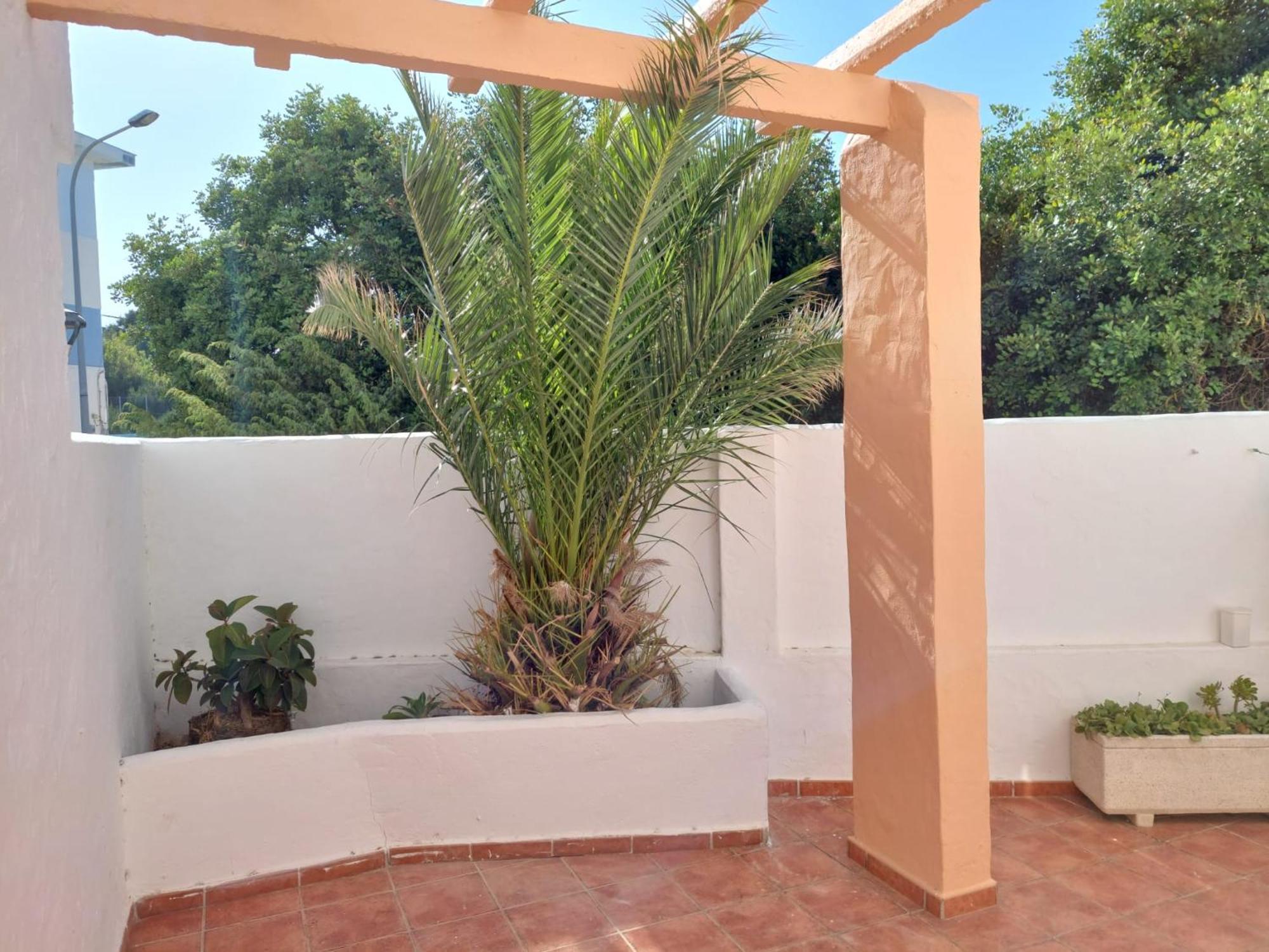 Appartement Piscina, Wifi, Patio Con Vistas à Tarifa Extérieur photo