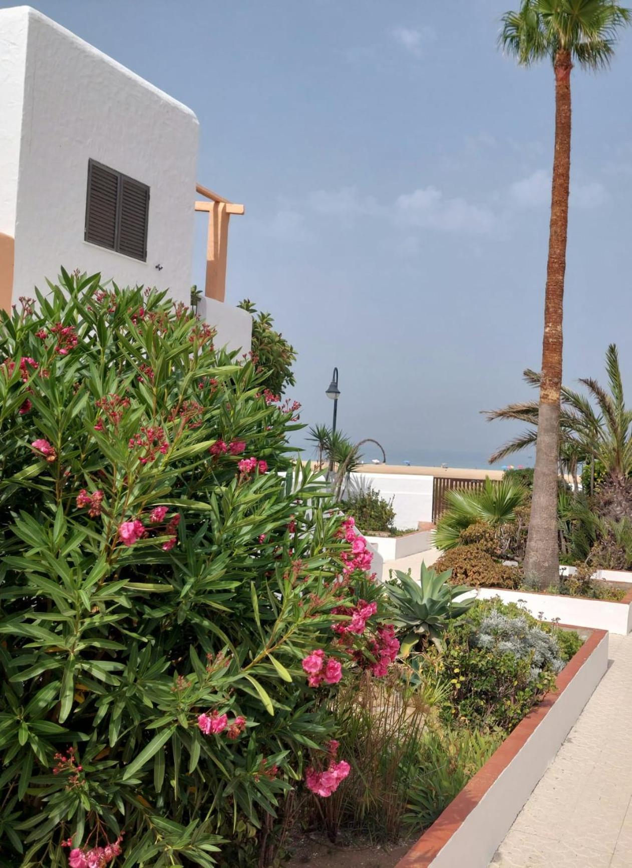 Appartement Piscina, Wifi, Patio Con Vistas à Tarifa Extérieur photo